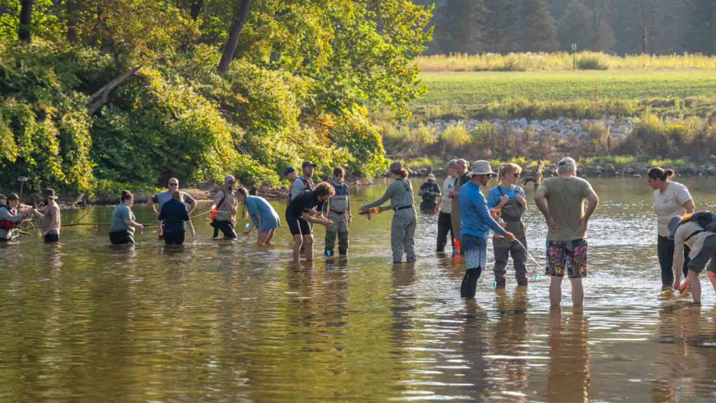 Agencies Team Up to Restore Native Mussels to Ohio&nbsp;Waterway