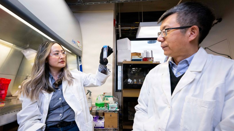 Microbial Biomanufacturing