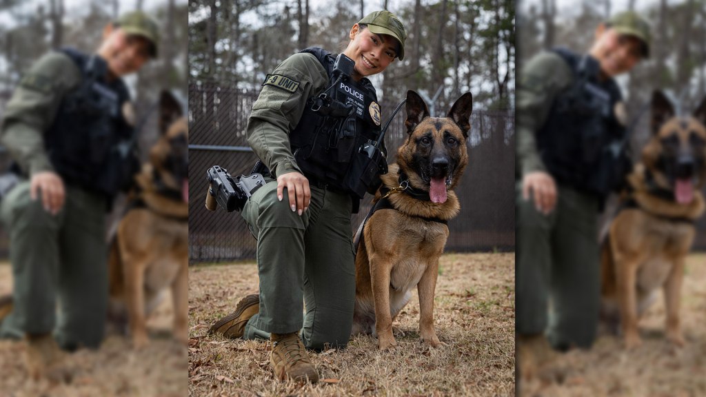 Handling Readiness of Four-Legged&nbsp;Partners