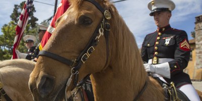 Meet the Military's Last Remaining Mounted Color Guard