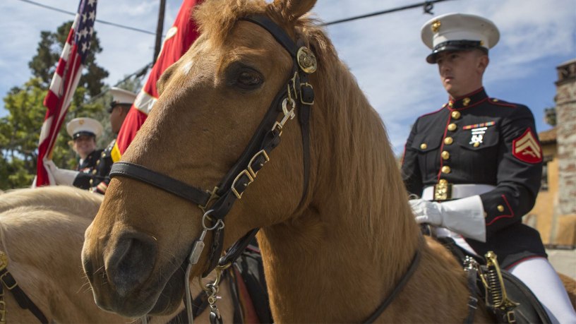 Meet the Military's Last Remaining Mounted Color Guard
