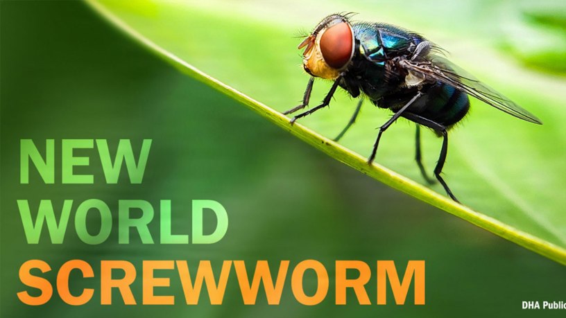 CDC issues nationwide Health Advisory on New World screwworm