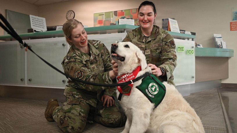 Staff Sgt. Hannah Gerics, 55th Operational Medical Readiness Squadron ophthalmic technician, and Senior Airman Kylie Pacheco, 55th Medical Group medical technician, pet therapy dog, Izy, during her visit to the 55th Medical Group's Ehrling Bergquist clinic in Bellevue, Neb., Jan. 9, 2026. Therapy dogs are tested and evaluated to determine whether they have the personality and demeanor to become therapy dogs. (U.S. Air Force photo by Daniel Martinez)