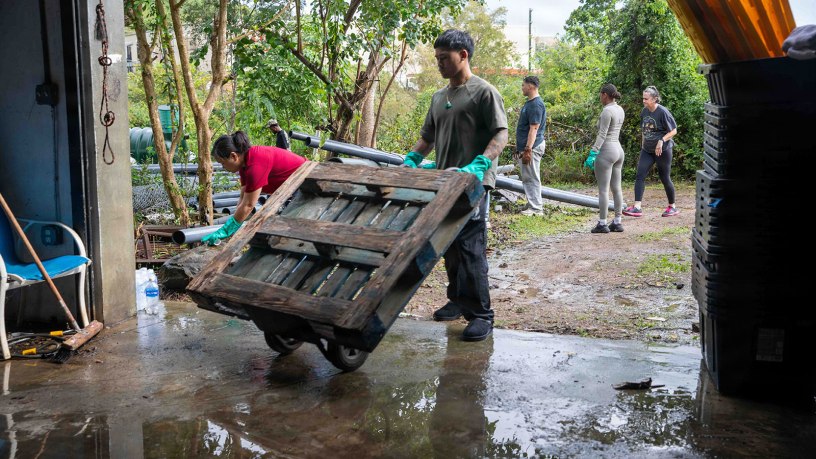 A U.S. Sailors, assigned to the Iwo Jima Amphibious Ready Group, work to remove debris during a community service event at The Humane Society of St. Thomas while San Antonio-class amphibious transport dock USS Fort Lauderdale (LPD 28) is pierside in St. Thomas, U.S. Virgin Islands, Feb. 15, 2026. U.S. military forces are deployed to the Caribbean in support of the U.S. Southern Command mission, Department of War-directed operations, and the president’s priorities to disrupt illicit drug trafficking and protect the homeland. (U.S. Navy photo)