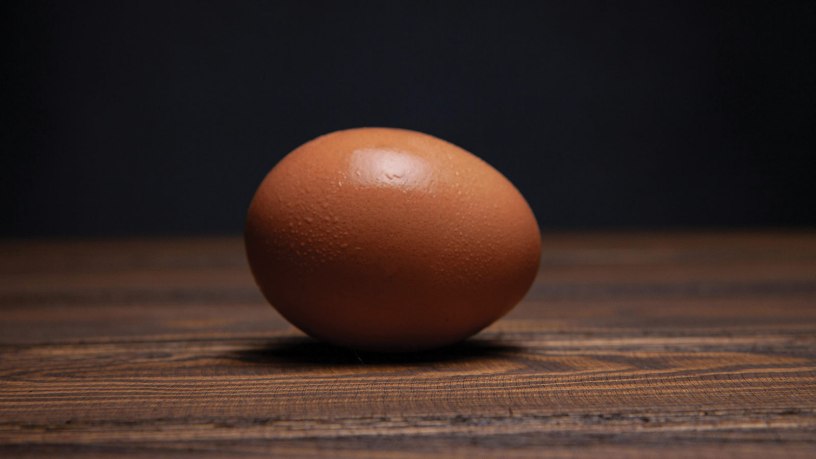A brown egg on a wooden surface.