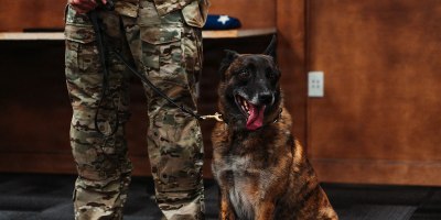 Apollo, a Multi-Purpose Canine assigned to 1st Special Forces Group (Airborne) waits to receive his retirement orders and Army Commendation Medal at Joint Base Lewis-McChord, Washington, May 1, 2026. 1st SFG(A) organized the first K9 retirement from its ranks in further support of Apollo and Moker's service.