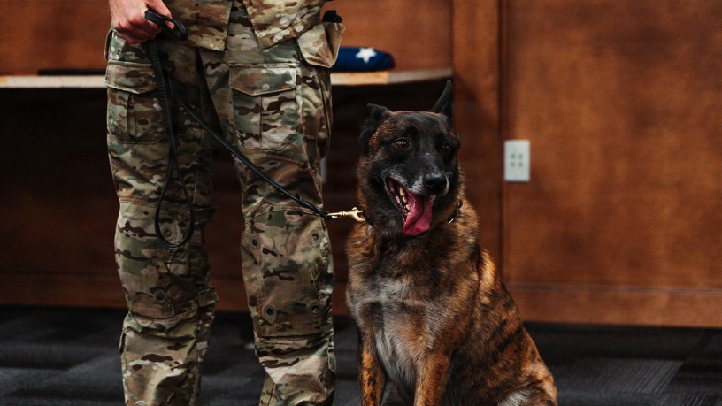 Apollo, a Multi-Purpose Canine assigned to 1st Special Forces Group (Airborne) waits to receive his retirement orders and Army Commendation Medal at Joint Base Lewis-McChord, Washington, May 1, 2026. 1st SFG(A) organized the first K9 retirement from its ranks in further support of Apollo and Moker's service.