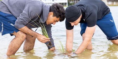 Air Force Airman 1st Class Allon Mazkin and Air Force Airman 1st Class Malaki Flores, assigned to the 316th Training Squadron at Naval Air Station (NAS) Pensacola's Correy Station Annex, plant native vegetation on NAS Pensacola's White Island during a Morale, Welfare and Recreation-sponsored shoreline restoration volunteer event. The event, in coordination with Escambia County and the Living Shoreline initiative, allowed volunteers to plant more than 2,500 wetland grasses commemorating NAS Pensacola's 200th birthday. (Navy photo by Chief Mass Communication Specialist Ian Cotter)
