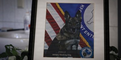 A portrait of Retired Military Working Dog Perle X429 rests atop an empty kennel during a military funeral honors ceremony held May 6, 2026, at the Veterinary Medical Center Europe on Vogelweh, Germany. (U.S. Army photo by 1st Lt. Nahjier Williams)