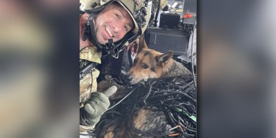 Sgt. 1st Class John Sharbel, a flight paramedic with the Tennessee Army National Guard’s 1-230th Assault Helicopter Battalion, takes a photograph with Jack, a German Shepherd, just after being hoisted into a Black Hawk helicopter during a rescue. Jack and his owner were trapped in a ravine overnight in the Cherokee National Forest, May 2, 2026. Courtesy photo.