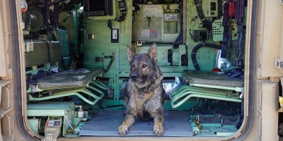 A police K9 inside an M2 Bradley Fighting Vehicle during training with the Idaho National Guard. A joint training event with law enforcement at Gowen Field, Idaho, June 2, 2026.