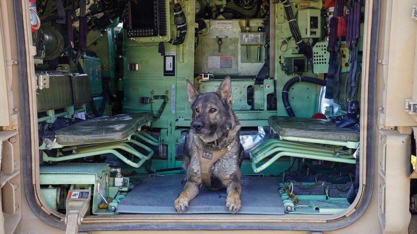 A police K9 inside an M2 Bradley Fighting Vehicle during training with the Idaho National Guard. A joint training event with law enforcement at Gowen Field, Idaho, June 2, 2026.