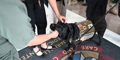 Staff members congratulate and pet CRDAMC facility dog 1st Lt. Solomon following his promotion ceremony June 11 at Fort Hood, Texas. Solomon’s calm presence and ability to connect with people have made him a beloved member of the hospital team and a source of support throughout the organization.