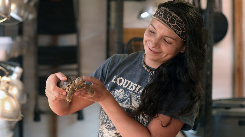 Amy Moseley, a biological science field technician with The Nature Conservancy, inspects a young gopher tortoise during Operation Sentinel Justice at Camp Shelby, Mississippi, June 15. 2026.