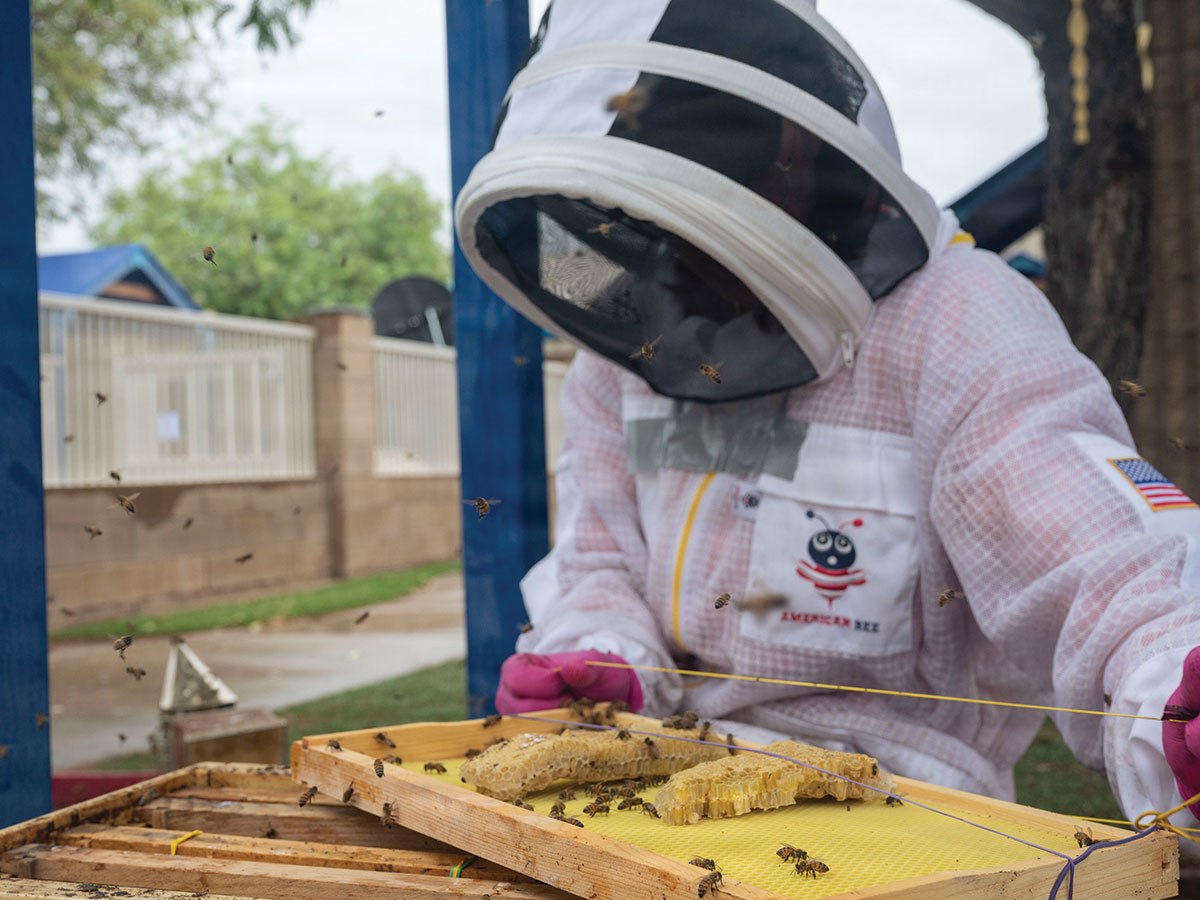 Davis-Monthan Airmen partner to safely relocate an Africanized bee&nbsp;colony