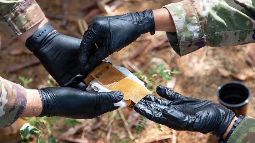 embers of the Joint Task Force Southern Guard Preventive Medicine team inspect an insect monitoring panel during vector surveillance operations at Naval Station Guantanamo Bay, Cuba, July 8, 2026.