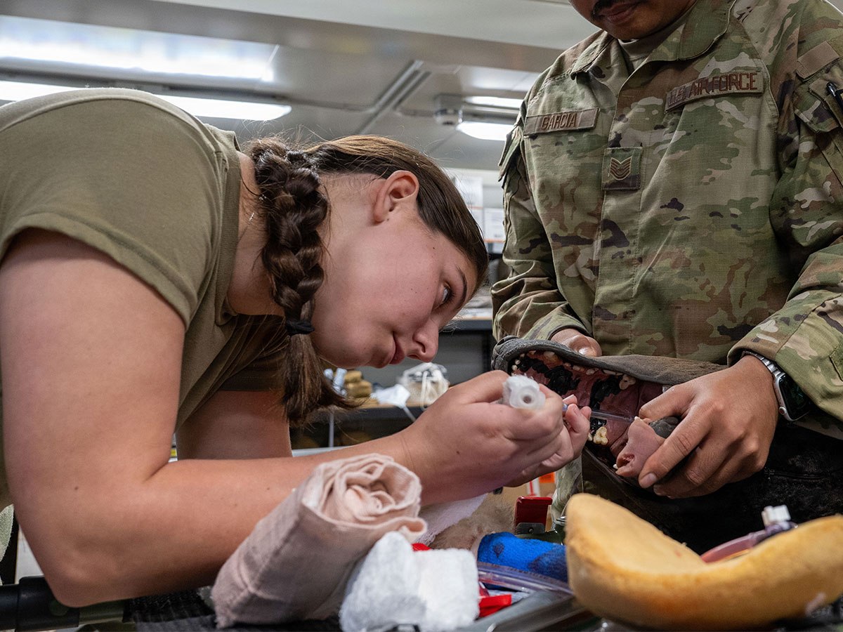 Building a Combat Care network for Military Working&nbsp;Dogs
