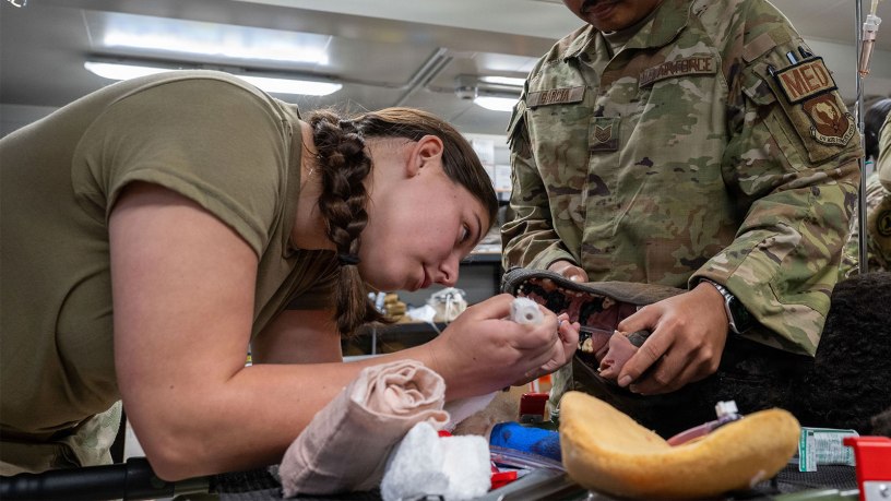 U.S. Army Corporal Piper McIntosh and U.S. Air Force Technical Sgt. Milos Garcia Chabelley Airfield Joint Medical Aid Station medics practice placing an airway into a “Diesel Dog” training simulator during the K-9 Tactical Combat Casualty Care training at Chabelley Airfield, Djibouti, July 24, 2026.