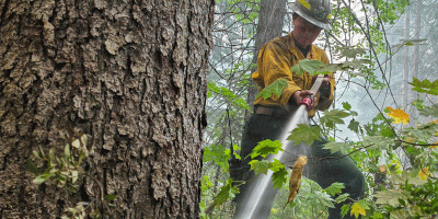 U.S. Air Force Tech. Sgt. Shauna Bonham, 256th Intelligence Squadron, Washington Air National Guard, sprays water to cool embers during mop-up operations on the Little Giant Fire near Leavenworth, Wash., Aug. 14, 2026. Guardsmen worked along hand-dug lines to extinguish remaining hot spots and reduce the risk of the fire spreading.