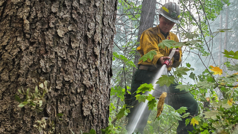 U.S. Air Force Tech. Sgt. Shauna Bonham, 256th Intelligence Squadron, Washington Air National Guard, sprays water to cool embers during mop-up operations on the Little Giant Fire near Leavenworth, Wash., Aug. 14, 2026. Guardsmen worked along hand-dug lines to extinguish remaining hot spots and reduce the risk of the fire spreading.