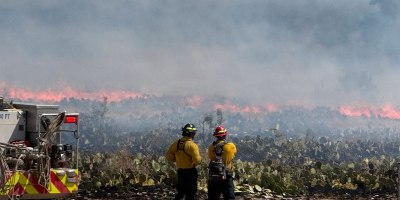 Two firefighters assess a wildland fire during an emergency mutual aid response in Tom Green County, Texas, Sept. 2026.