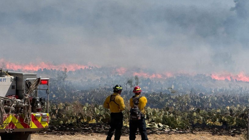 Two firefighters assess a wildland fire during an emergency mutual aid response in Tom Green County, Texas, Sept. 2026.