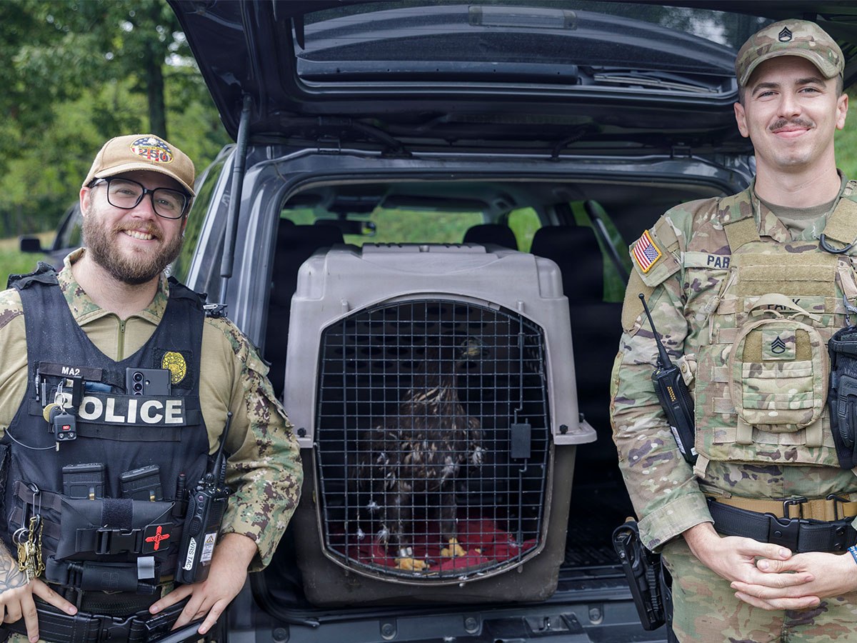 Service Members Secure ‘Freedom’ in the Skies Over Crane with Valiant Eagle&nbsp;Rescue