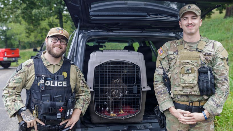 U.S. Navy Petty Officer 2nd Class Mitchell Brimner and Army Staff Sgt. Jonathan Park pose with Freedom, a bald eagle being released on to Naval Weapons Station Crane. Brimner and Park, security officers at the southern Indiana military based, worked together to save the bald eagle this past summer and get it to a rehabilitation center, ultimately saving its life. (U.S. Army photo by Sgt. Austin Goss)