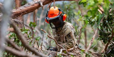 U.S. Army Sgt. Jacob Delos Reyes, support personnel assigned to Task Force Kauai, Hawaii National Guard, uses a chainsaw to cut fallen trees in Kokee State Park, Sept. 10, 2026.